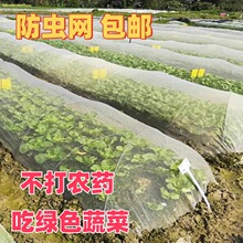 农用种菜蔬菜果树防虫网罩种植大棚防虫网养殖围网加厚防虫网罩