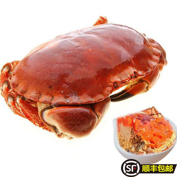 4只顺丰包邮面包蟹熟冻海鲜黄金蟹珍宝蟹鲜活冷冻熟食海蟹海鲜