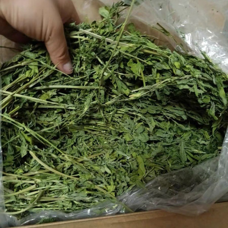 苜蓿草烘干兔兔子龙猫粮食干草荷兰猪豚鼠牧草饲料包邮