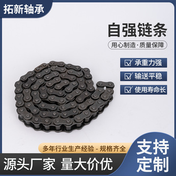 东华自强工业传动链条08b 10a 12a 16a 20a 24a 28a32a单双三排链