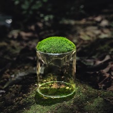 高颜值创意观山微景观瓶生态瓶 高硼硅透明玻璃苔藓瓶 水培植物瓶