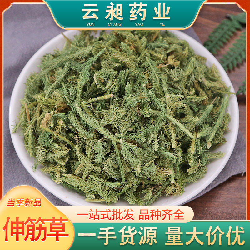 批发中药材伸筋草 舒筋草 当季新货 色青无杂质 提供大量现货