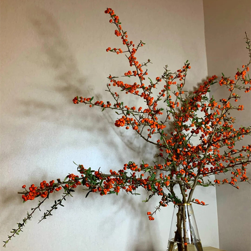 火棘果鲜花可做干花家庭办公插花云南产地批发真花婚庆装饰鲜切果