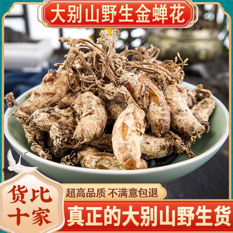 一件代发金蝉花500g蝉花虫草孢子粉旗舰店金婵花金蚕花知了花禅花