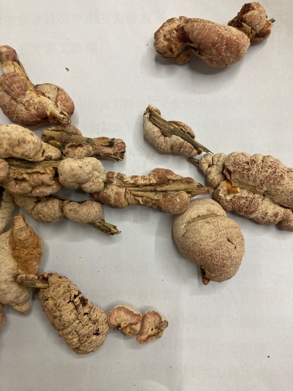 竹簧竹黄中药材苦竹花天竹花淡竹花竹茧 赤团子天竺黄500克包邮