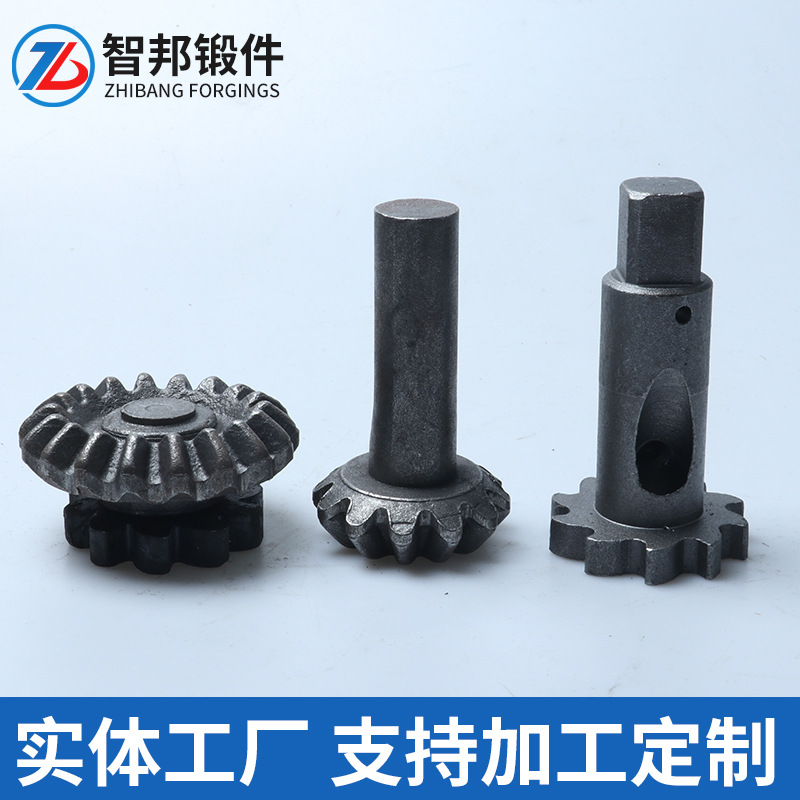 Forging Special-Shaped Parts Hot Cold Heading Special Bolts Special Special-Shaped Connecting Screws Non-Standard Various Special-Shaped Parts