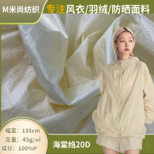 20D锦纶皱布 海棠绉防泼水尼丝纺 亮面压皱面料 汉服防晒羽绒面料