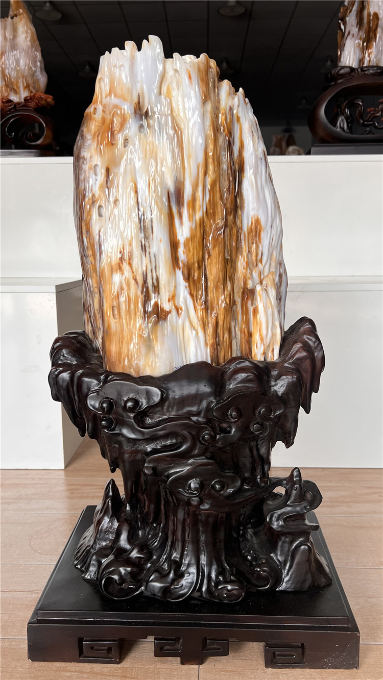 缅甸树化玉摆件天然树化石原石木化玉奇石木化石硅化木家居21850