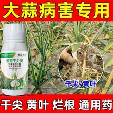 大蒜病杀菌药蒜苗专用药大蒜黄叶烂根干尖病锈病紫斑软腐病正品