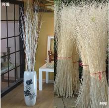 客厅落地玄关隔断白色云龙柳 龙桑 本色 曲柳艺术树枝 干燥树枝