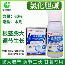 洋大哥60%氯化胆碱甘薯调节生长根茎膨大增产植物生长调节剂现货