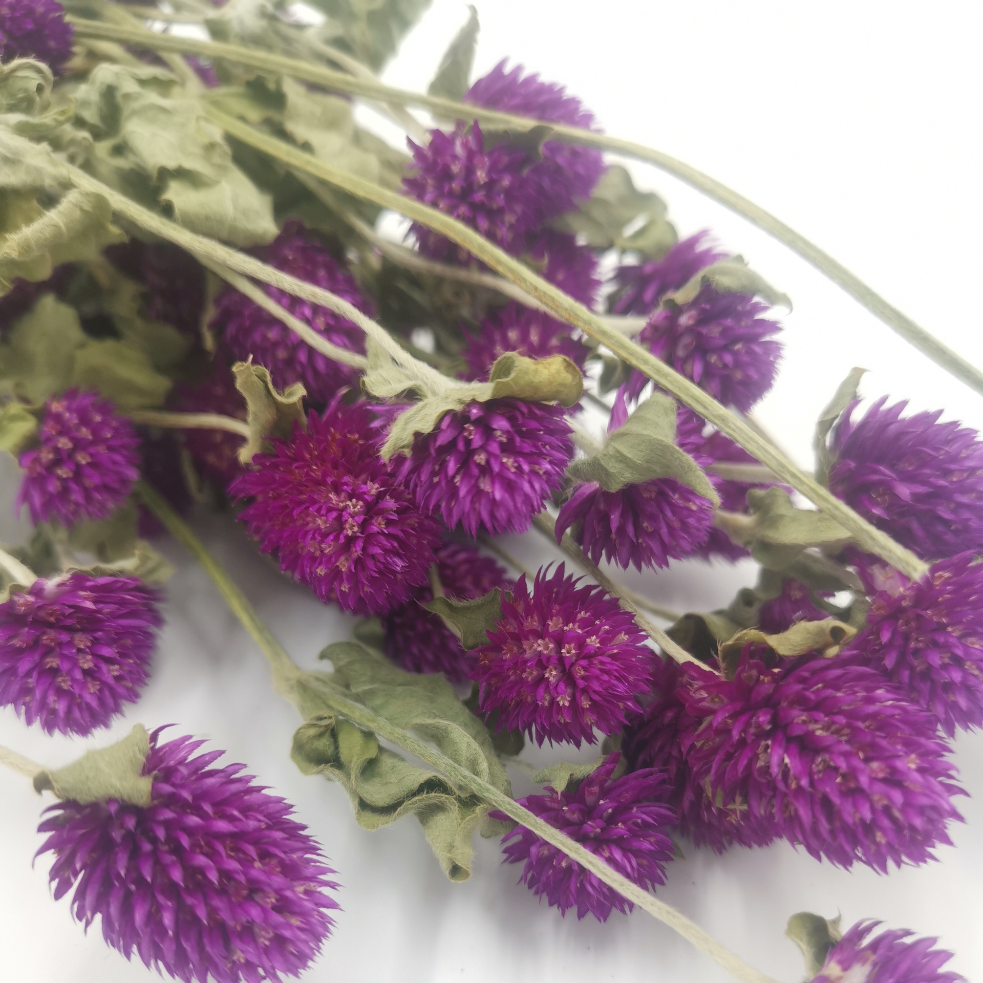 千日红干花花束永生花云南干花插花diy花环花材配花配草基地直销