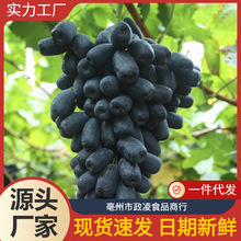 美人果水果