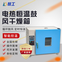 电热恒温鼓风干燥箱小型烘箱工业烘干箱实验室烘干机烘箱高温烤箱