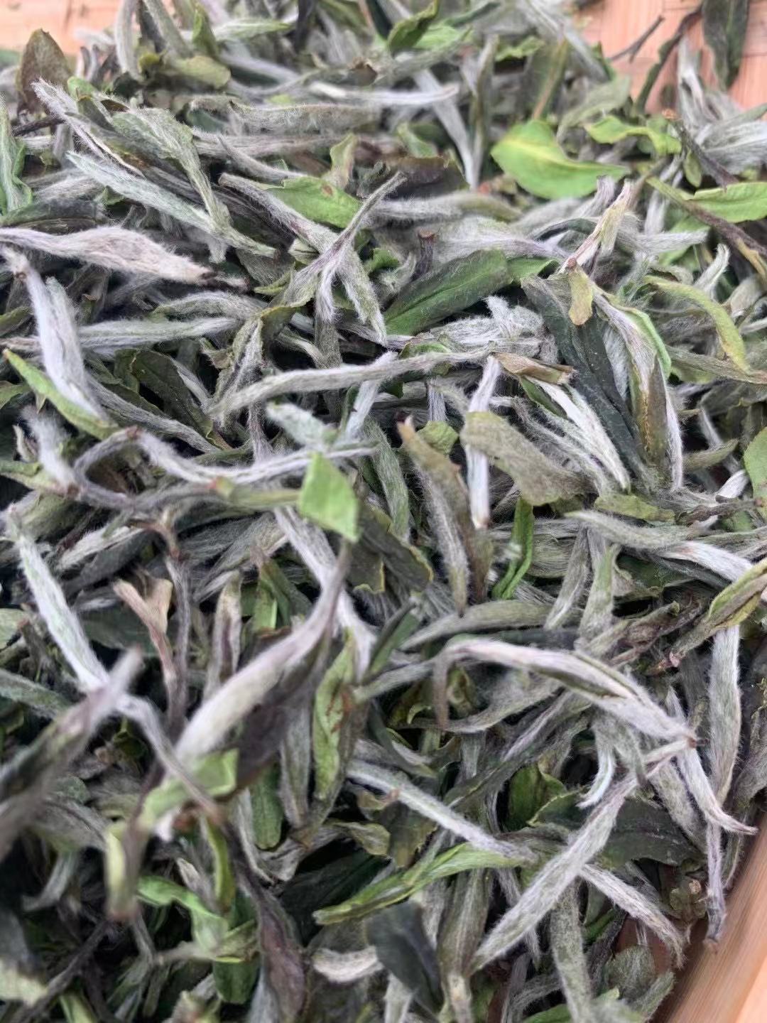 福建福鼎的白茶散茶 高山的茶荒野牡丹王100克500克 厂家直销批发