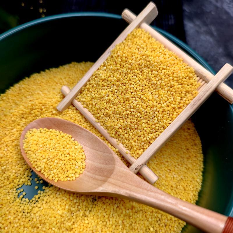 正宗东北米脂油黄小米 黑龙江新米金苗k1小米香糯稠月子米2斤/5斤