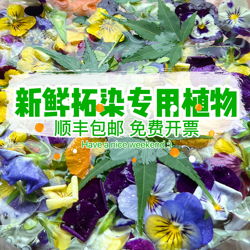 植物敲拓染鲜花 花卉材料 拓草材料贴花拓印捶花新鲜绿植树叶押花