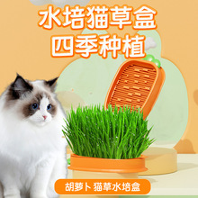 猫草盆栽无土水培猫草盒小麦种子化毛球猫草小麦苗猫薄荷猫咪零食