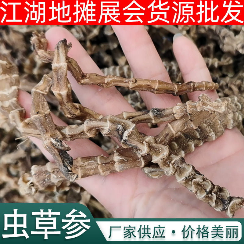 工厂供应跑江湖地摊展销会地参 批发农产品散装新货虫草参