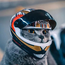 猫咪机车头盔喵宠物摩托车头盔猫狗狗帅气迷你机车帽帽子