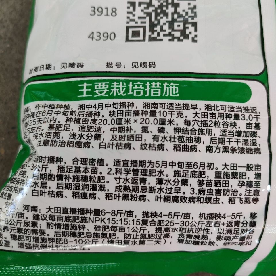 隆平种业绿银占水稻种子常规种 中晚稻谷种长粒1公斤