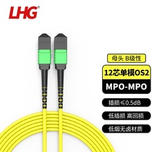 LHG MPO-MPO12芯单模光纤线母头B极性40G/100G运营商级3.0缆径