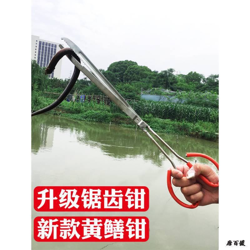捕泥鳅黄鳝夹鳝鱼夹子不锈钢钳子防滑赶海神器抓螃蟹龙虾专用工具