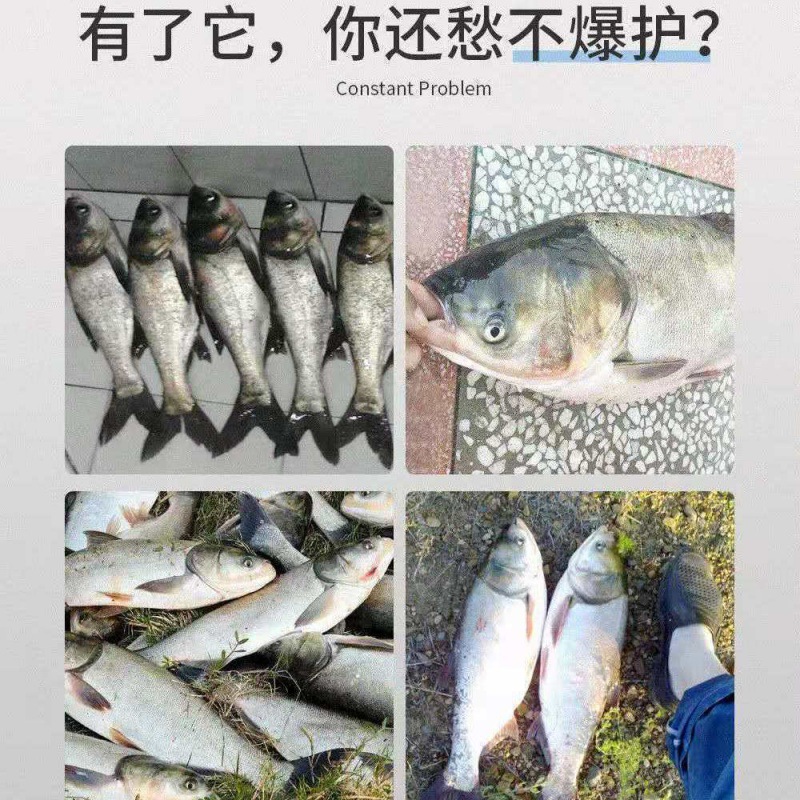 鲢鳙饵料鳙鱼饵大头鱼浮钓鳙花白鲢鱼手竿水怪爆炸钩通杀鱼饵钓饵