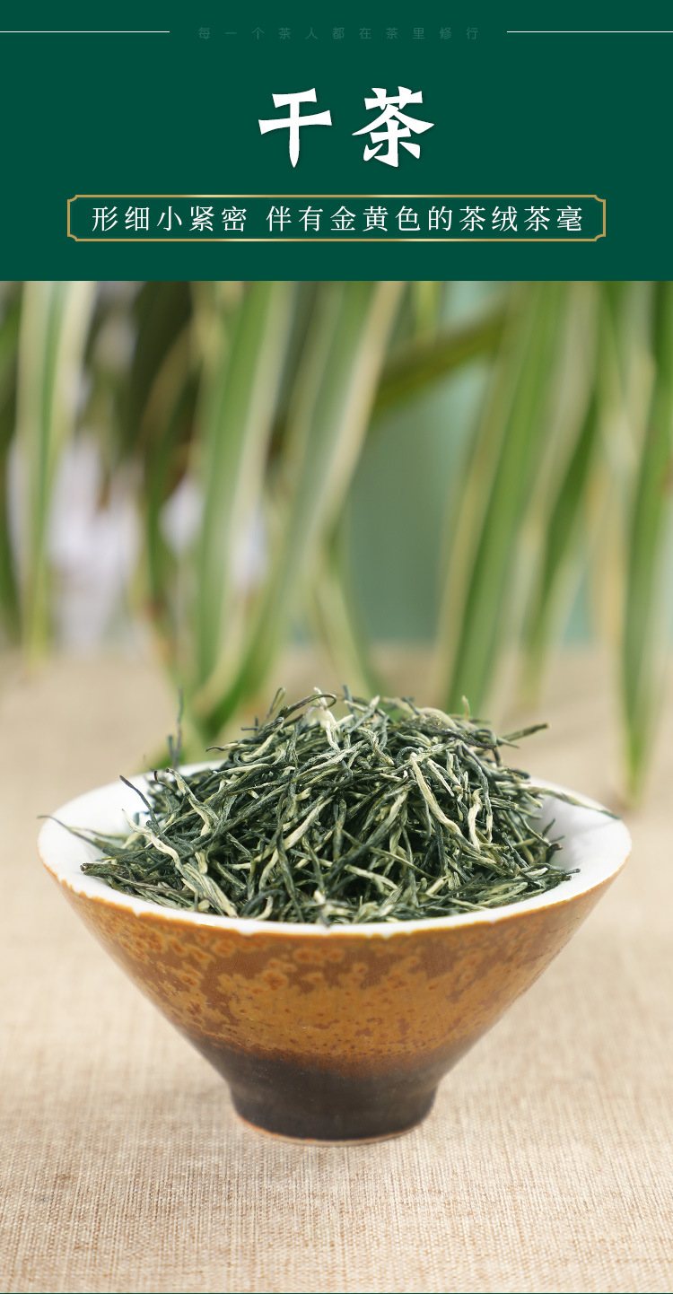 碧云涧新茶炒青云雾绿茶雨前嫩芽浓香型单芽毛尖信阳工艺雪芽毛尖
