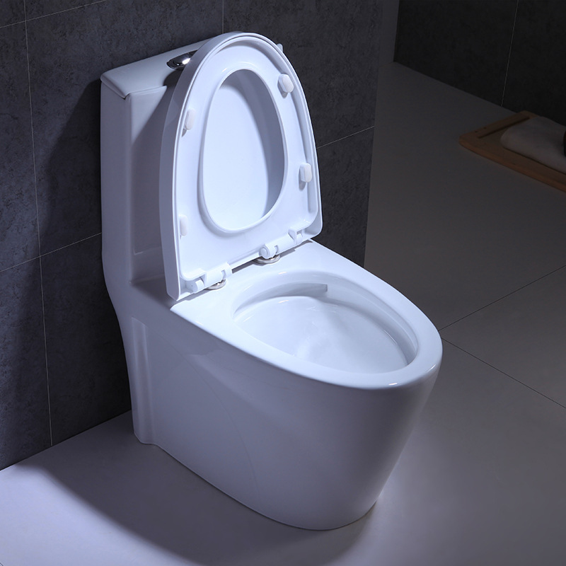 适用浪鲸抽水马桶 家用墙排后排水200/250/350坑距