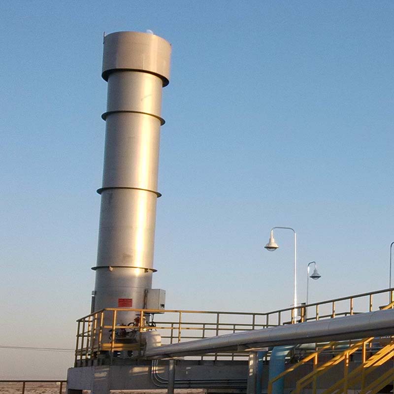 沼气燃烧火炬垃圾填埋场沼气处理工程设备 养殖场沼气内外燃火炬