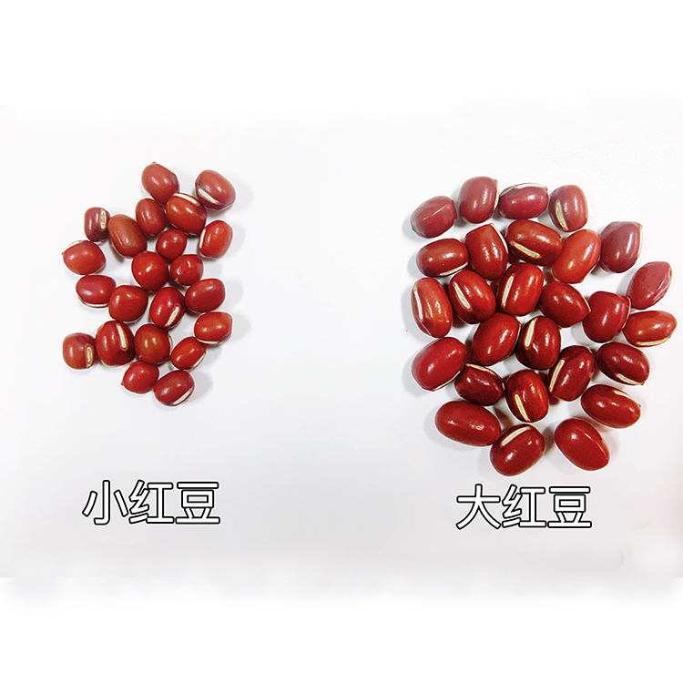 东北大红豆 新货大赤豆黑龙江农家红小豆薏米粥五谷杂粮5斤包邮