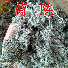 中草药茵陈  整株一件代发 陕西头茬优质货 茵陈中药材