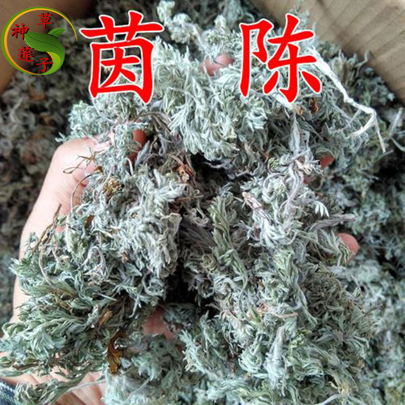 中草药茵陈 整株一件代发 陕西头茬优质货 茵陈中药材-阿里巴巴
