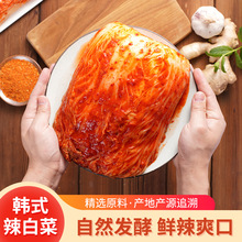 正宗风味韩式泡菜厂家定制10kg酸辣脆爽辣白菜红秧歌美味下饭泡菜
