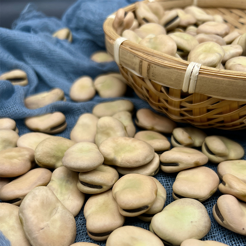 蚕豆干生蚕豆种5斤新货兰花豆特大油炸生胡豆商用蚕豆种籽罗汉豆