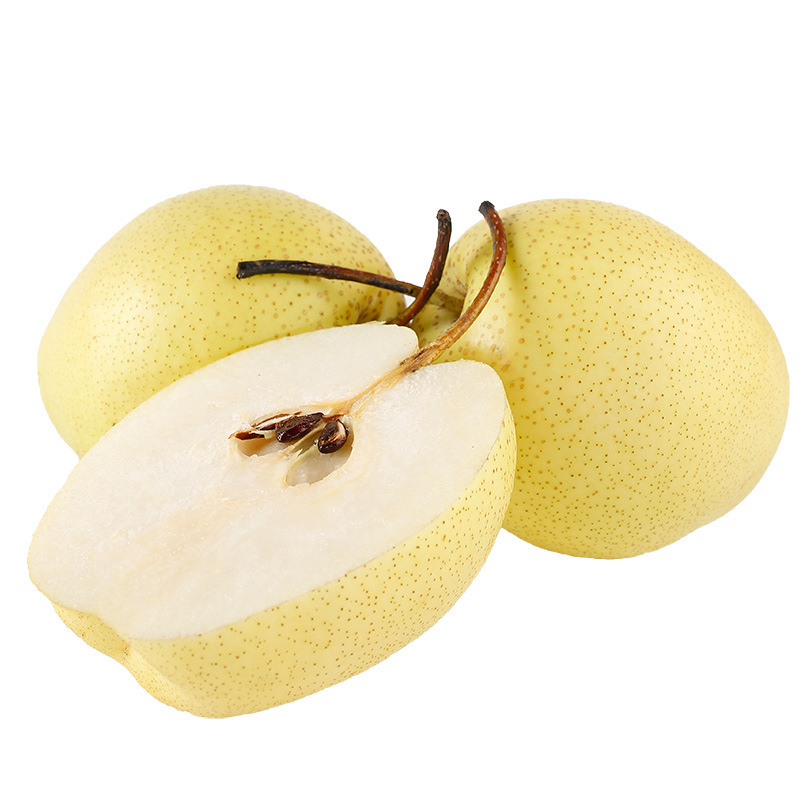 雪梨河北赵县赵州雪花梨10斤包邮新鲜水果梨子梨水川贝雪梨批