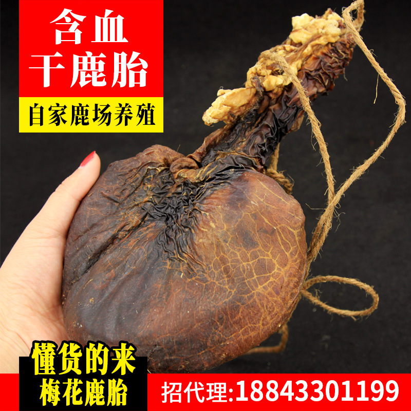 吉林鹿乡批发【鹿胎100只大货】梅花鹿胎盘血鲜鹿胎招全国代理