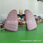 充气肺模型充气人体内脏美陈展示充气肺卡通充气美陈卡通