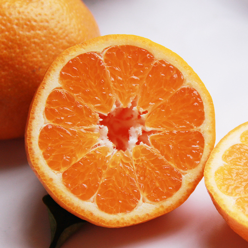 四川春见耙耙柑 蒲江粑粑柑新鲜柑橘一件代发批发应季水果