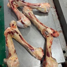 牛骨头 牦牛棒骨 腿骨脊骨 厂家批发牛大骨 筒骨 骨粉骨胶蛋白肽