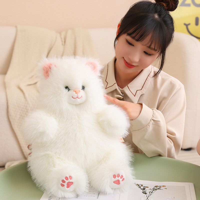 糖糖猫公仔长毛绒猫咪宠物玩偶抱枕毛绒玩具玩偶安抚抱枕女孩礼物