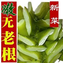 贡菜斤新鲜海白菜裙带菜梗段美人唇梗片非即食凉拌菜商用克厂