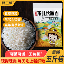 东北大米5斤2号大米长粒香黑龙江新米五农家粳米自种