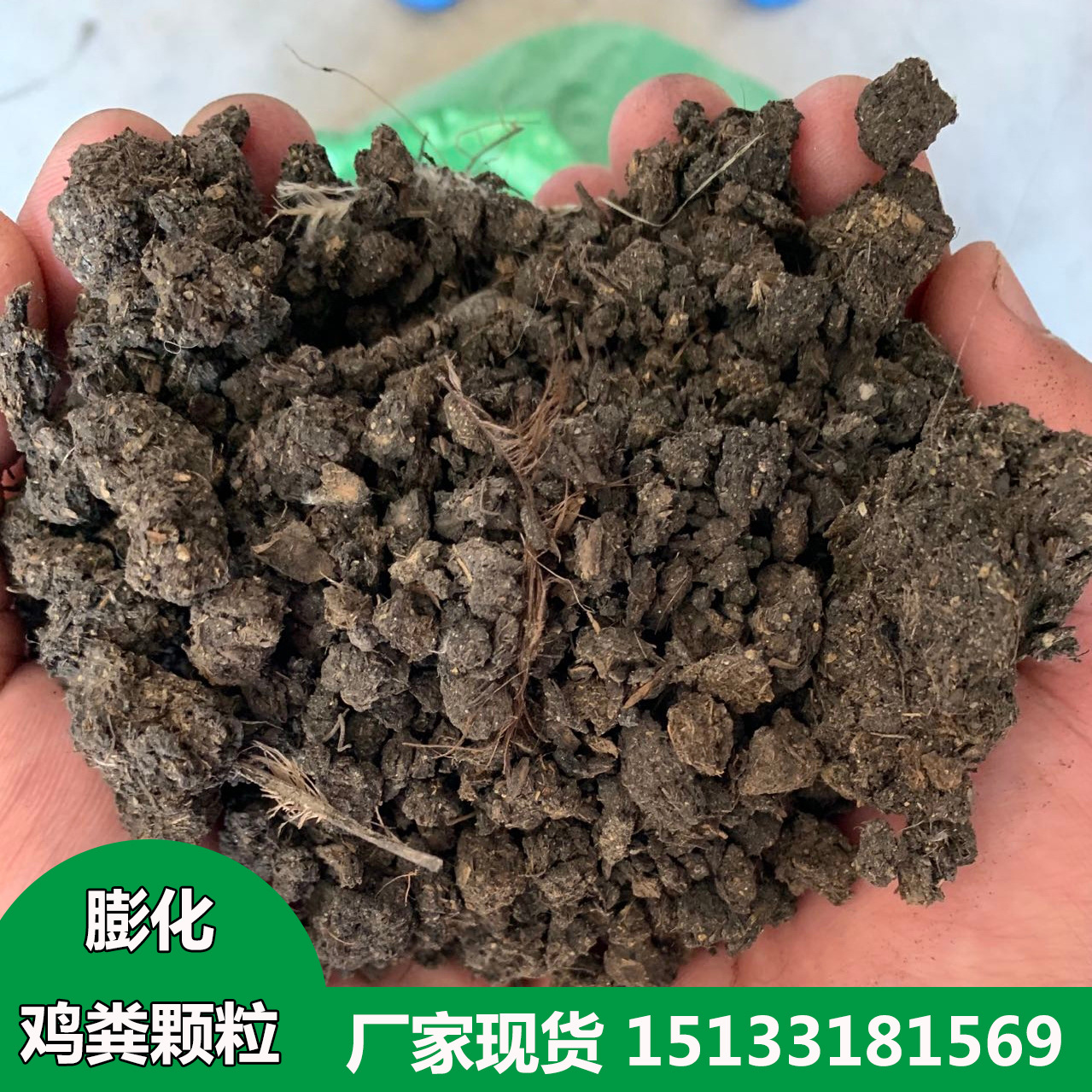 干鸡粪图