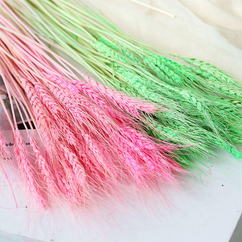 简约风永生花染色金黄麦穗亮黄干花开业嫩黄染色园艺色粉小麦