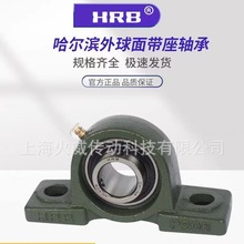 【原装正品】HRB带座轴承哈尔滨轴承座 UCP203 UCP204 UCP205国产