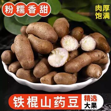 新摘山药豆铁棍山药蛋小白嘴山药大个农家种植精选糖葫芦豆批发