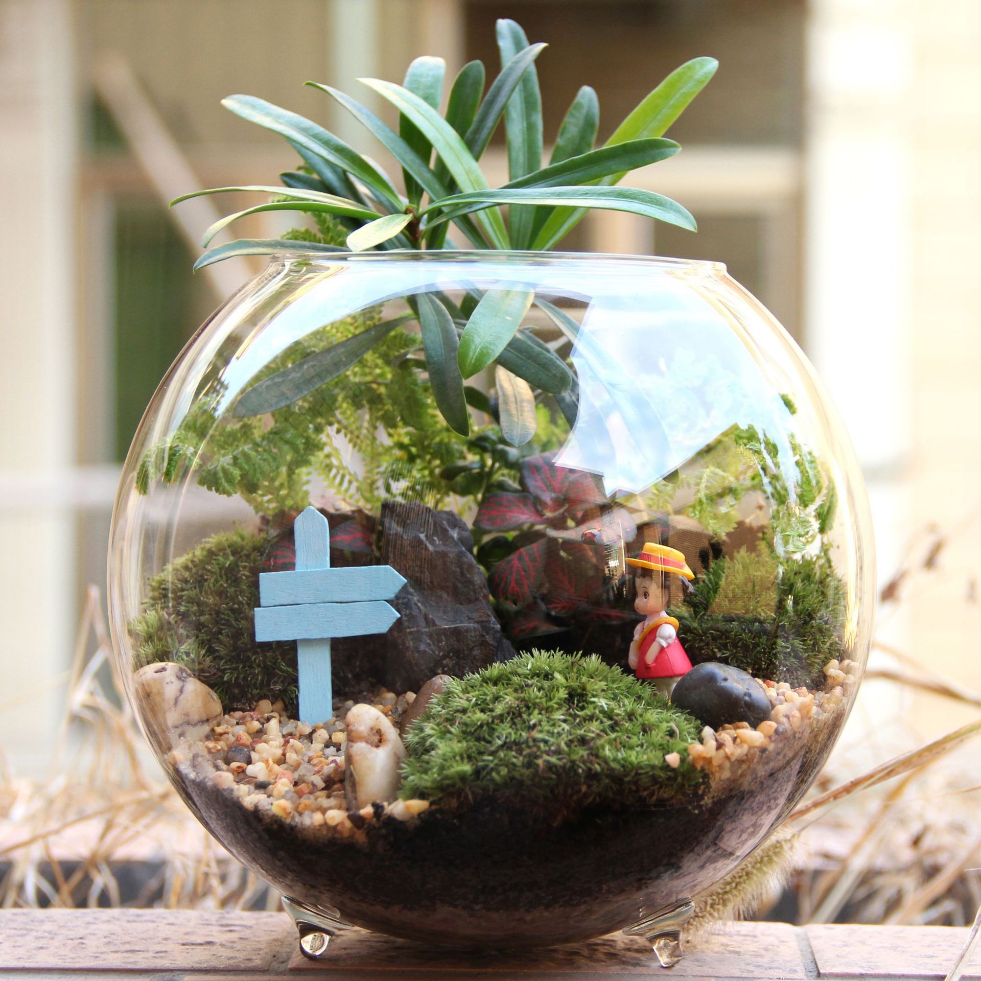 玻璃苔藓小瓶 微景观造景瓶 创意礼品礼物植物世界温馨小屋