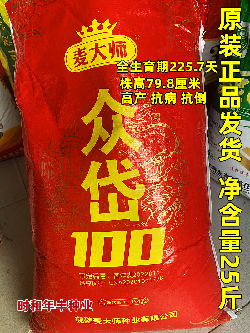 国审众岱100小麦种子高产抗病抗倒小麦种籽农家秋播麦大师麦种籽